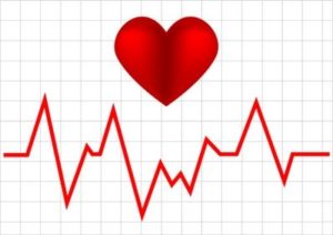 Heart Rate Training and Working Heart Rate Zones