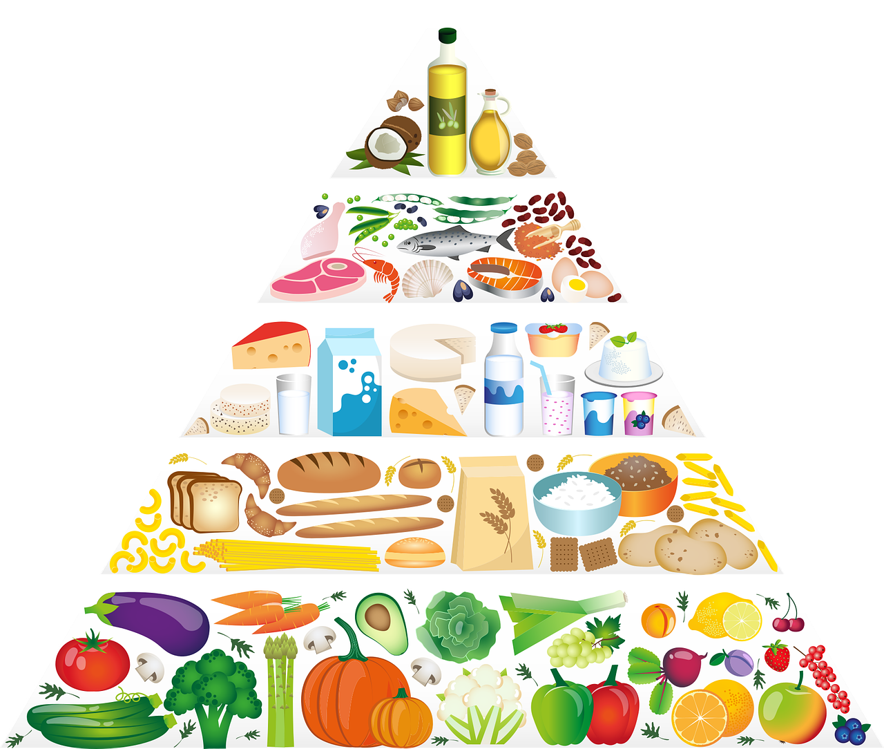 Is The Food Pyramid Still Relevant Get RIPPED!® by Jari Love
